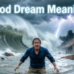 Flood Dream Meaning