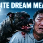 Dog Bite Dream Meaning