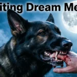 Dog Biting Dream Meaning