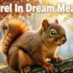 Squirrel In Dream Meaning