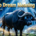 Buffalo Dream Meaning