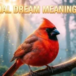 Cardinal Dream Meaning