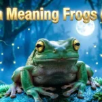 Dream Meaning Frogs