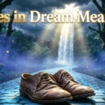 Shoes in Dream Meaning